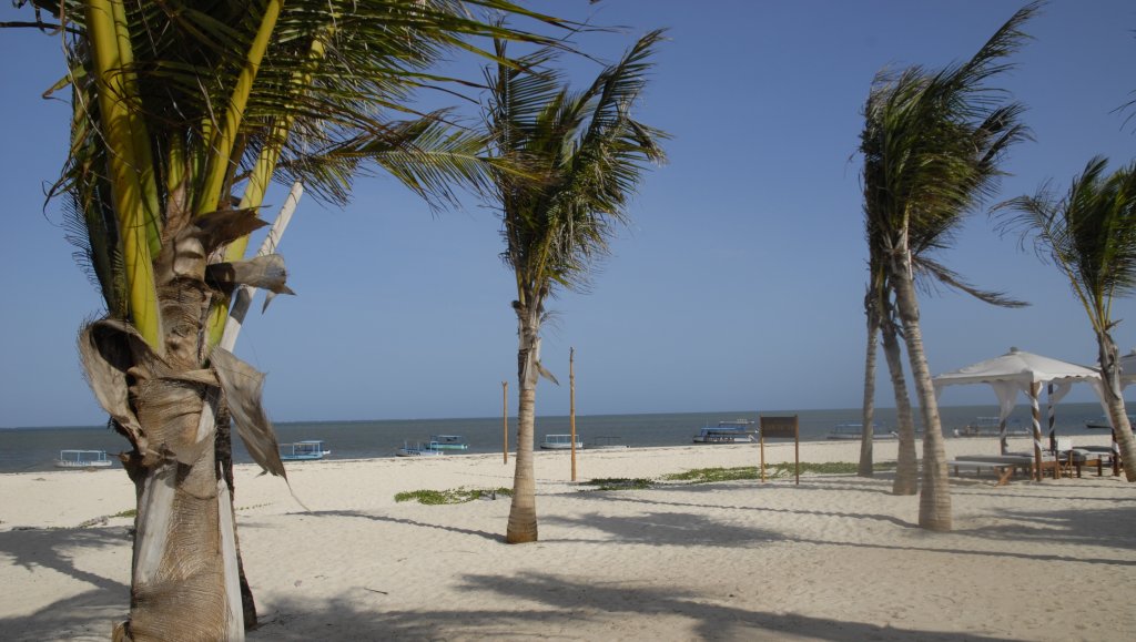 Typical beach scenery near Malindi Marine Park.