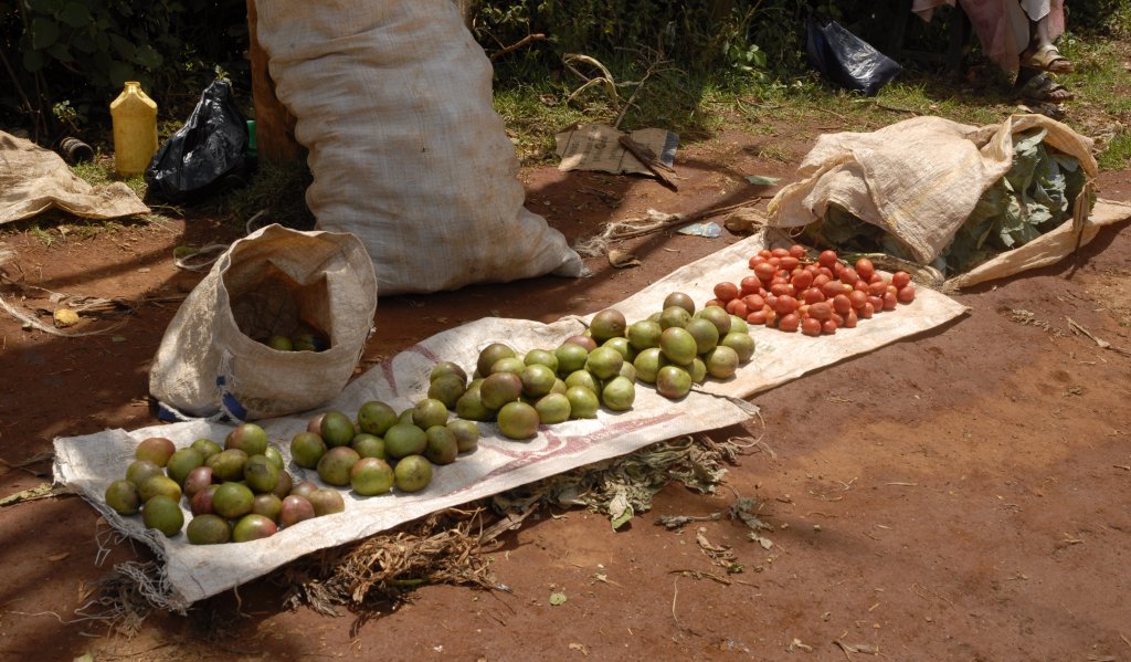 Verkauf von landwirtschaftlichen Produkten (Mangos, rote Tomaten, Kohlgemüse etc.) an einer Dorfstraße im Hochland (bei den Aberdares in ca. 2200m Höhe).