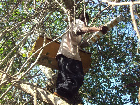 Sicheres Anbringen von Bienenkästen in Baumkrone (Imkereiprojekt in Kulesa, Kenia).