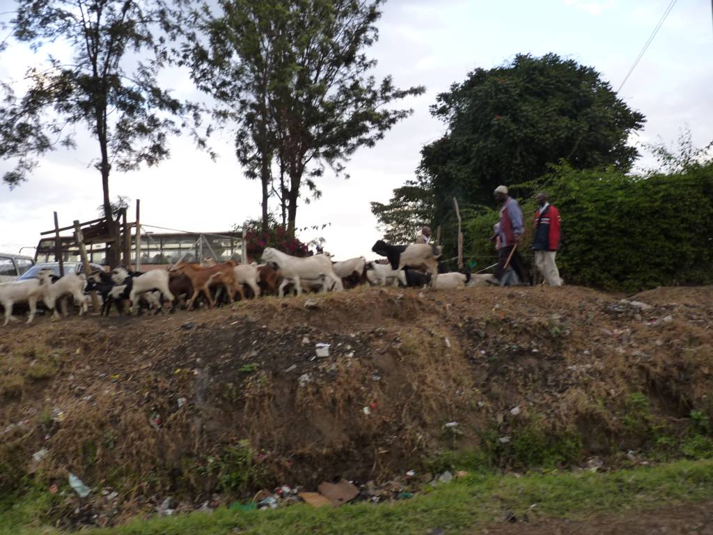 Roadside scene near Nairobi.