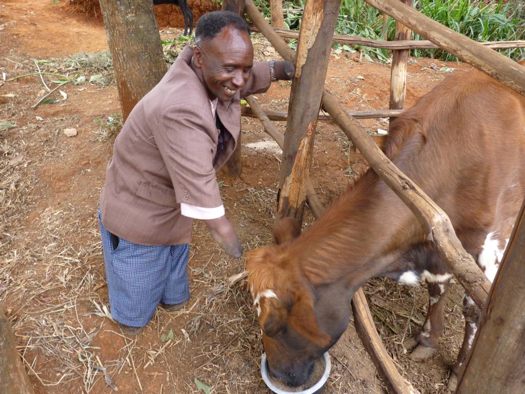 Supported family father with his single milk cow.