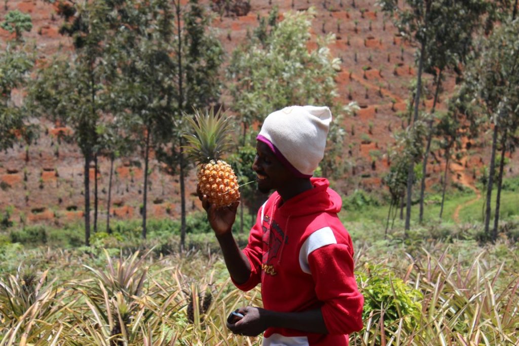 Family member of supported family in pineapple field.