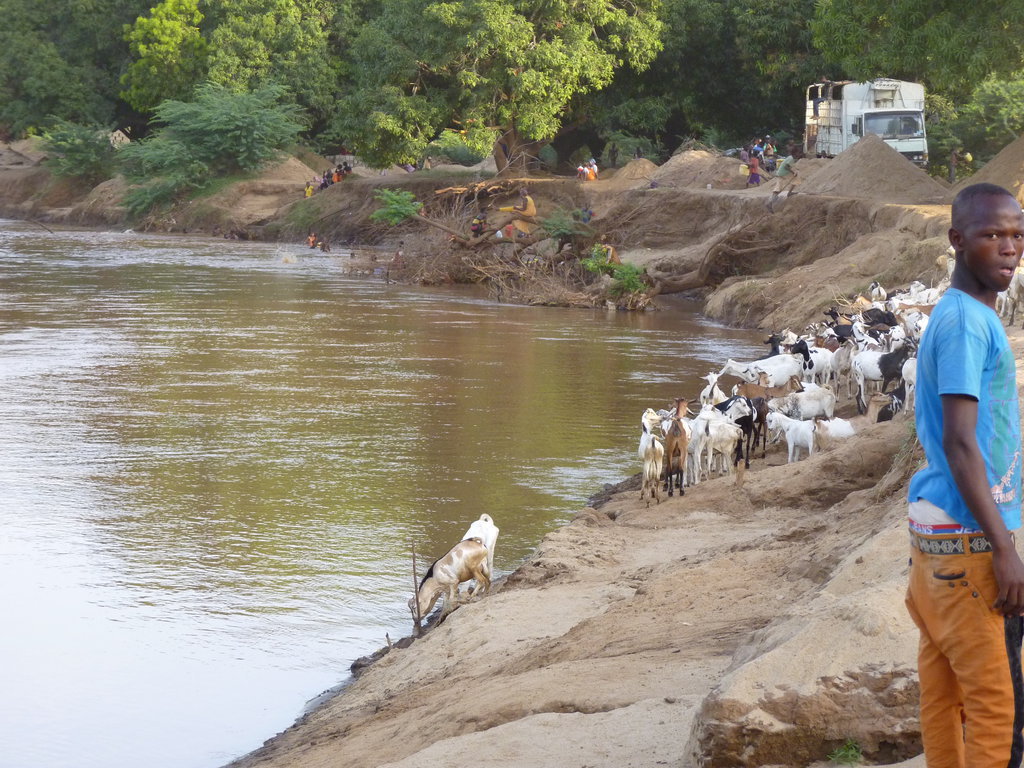 Impressionen vom Tana-River nahe Hola, Kenya, Bild 3/4.