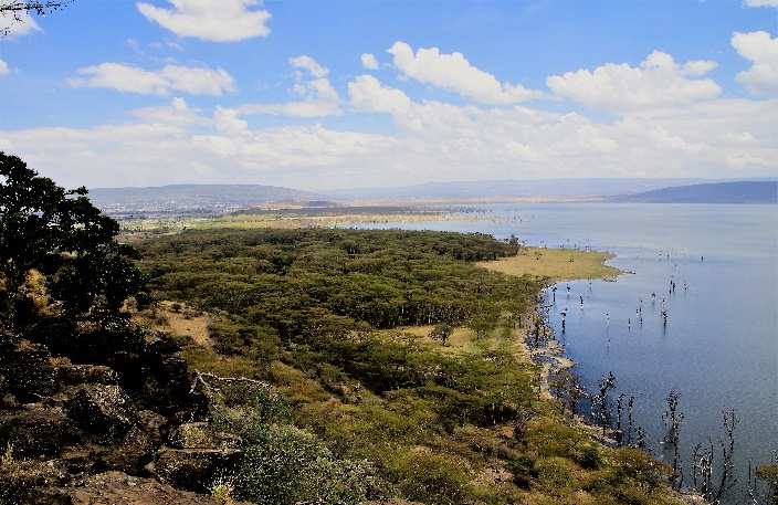 Lake Naivasha.