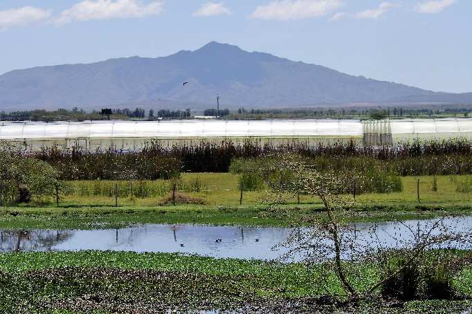 Lake Naivasha.