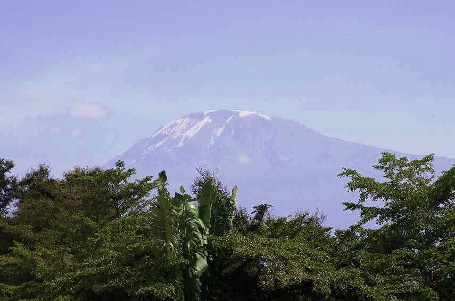 View of Kilimanjaro mountain.