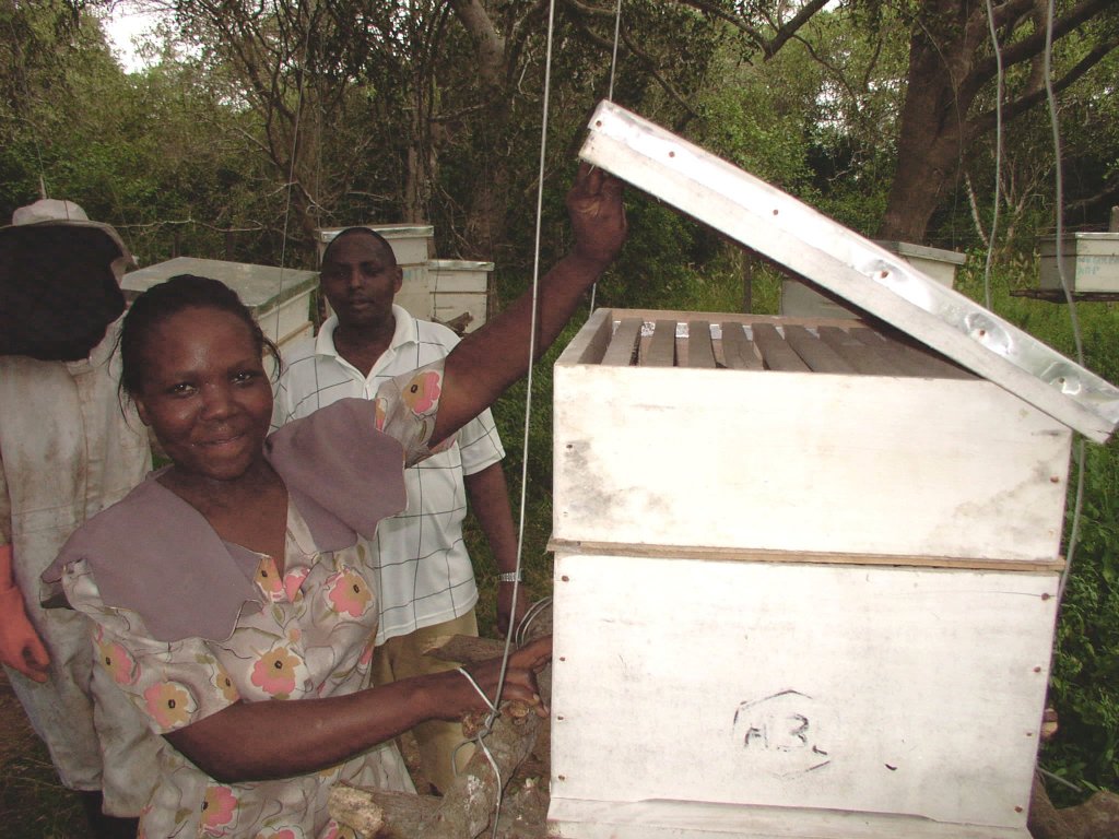 Wild-honey-bee project in Wema (near Kulesa), financed by our society.