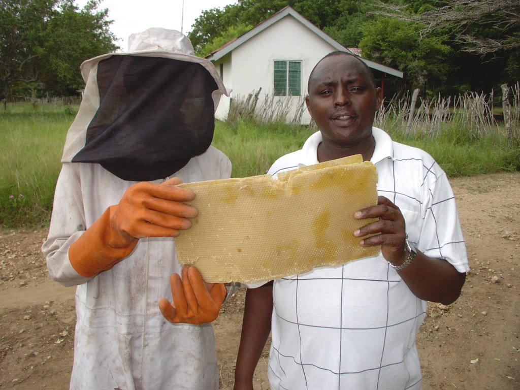 Beekeeper with honeycombs (wild-honeybee project in Wema, financed by our society).